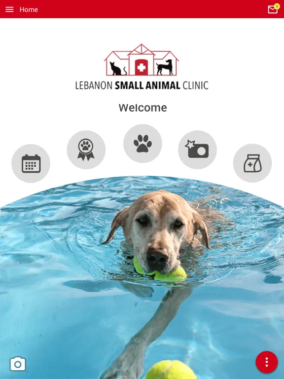 Zrzuty ekranu Lebanon Small Animal Clinic iPad 