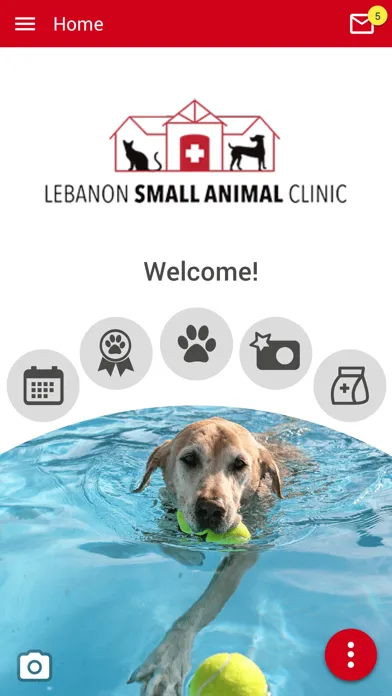 Zrzuty ekranu Lebanon Small Animal Clinic