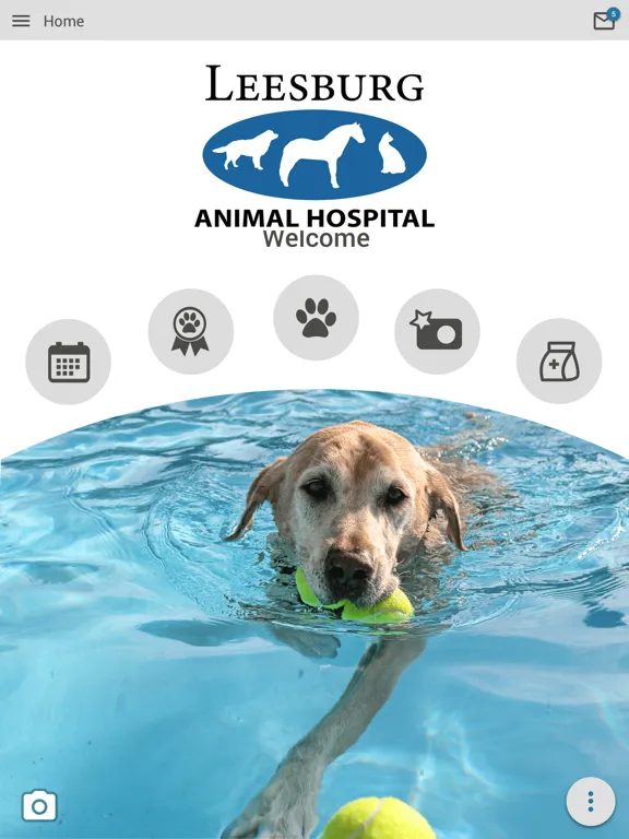 Leesburg Animal Hospital iPad 应用截图