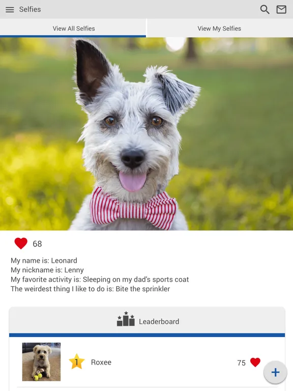 Leesburg Animal Hospital iPad 应用截图
