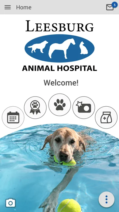 Leesburg Animal Hospital应用截图