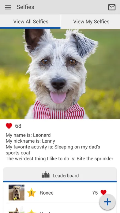 Leesburg Animal Hospital应用截图