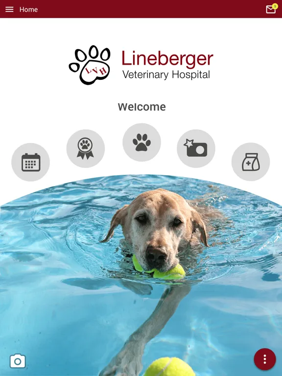 Lineberger Veterinary Hospital iPad  Ekran Görüntüleri