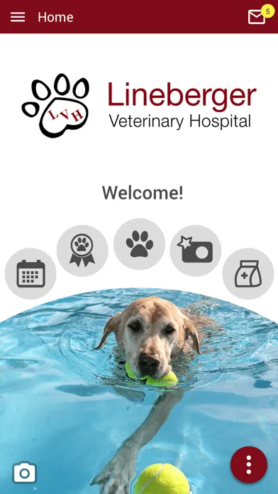 Lineberger Veterinary Hospital Ekran Görüntüleri