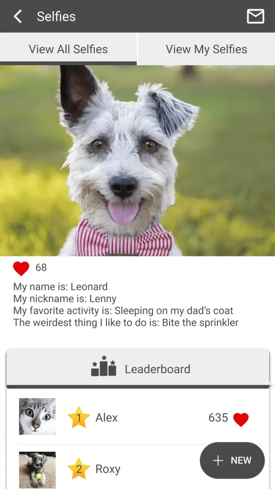 Скриншоты Lowell Animal Hospital