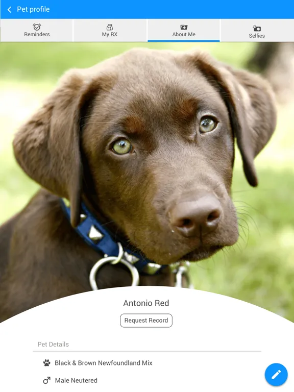 Capturas de tela do Macon County Vet Hospital iPad 