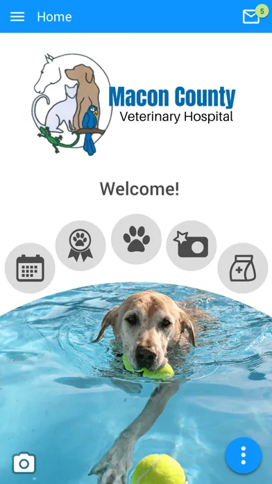 Capturas de tela do Macon County Vet Hospital