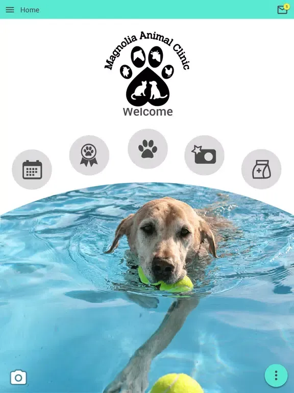 Capturas de tela do Magnolia Animal Clinic iPad 