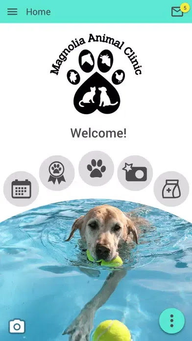 Capturas de tela do Magnolia Animal Clinic