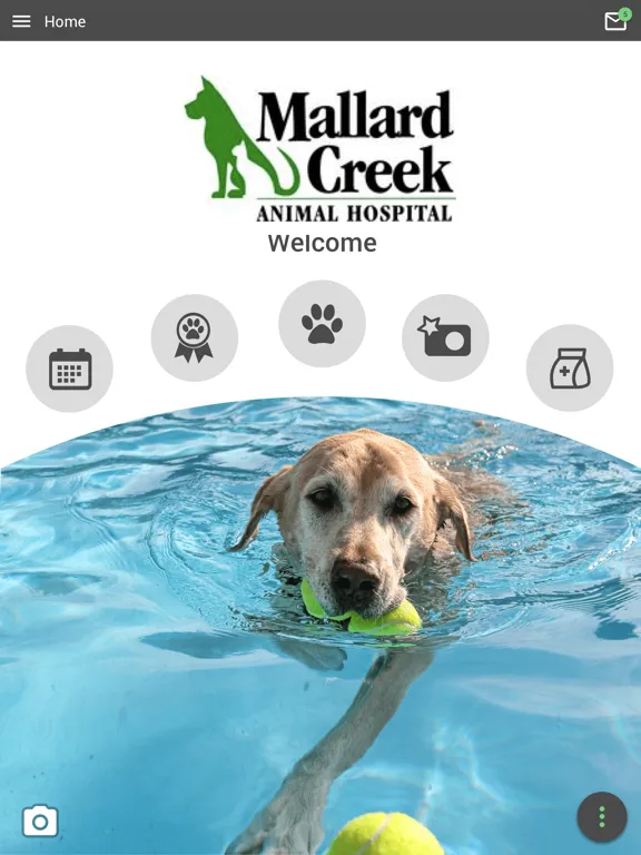 Mallard Creek AH iPad  스크린샷