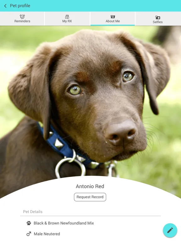 Manheim Pike Veterinary Hosp iPad 应用截图
