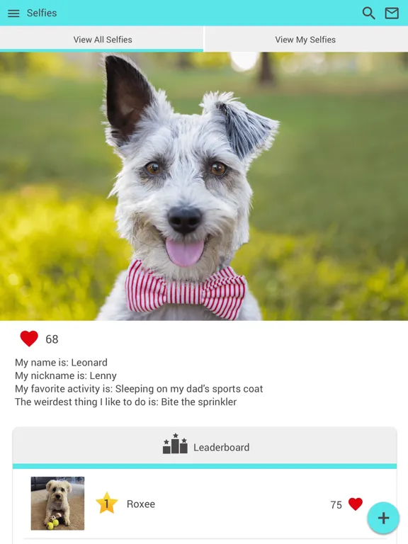 Manheim Pike Veterinary Hosp iPad 应用截图