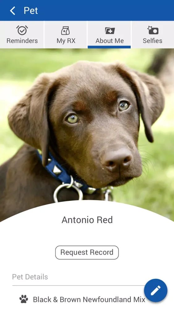 Maricamp Animal Hospital Screenshots