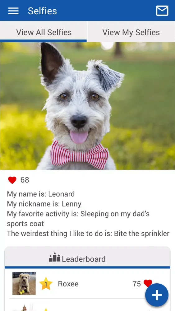 Maricamp Animal Hospital Screenshots