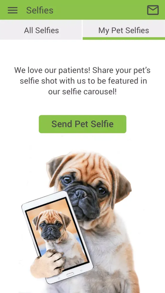 Mechanicsville Animal Hospital Screenshots