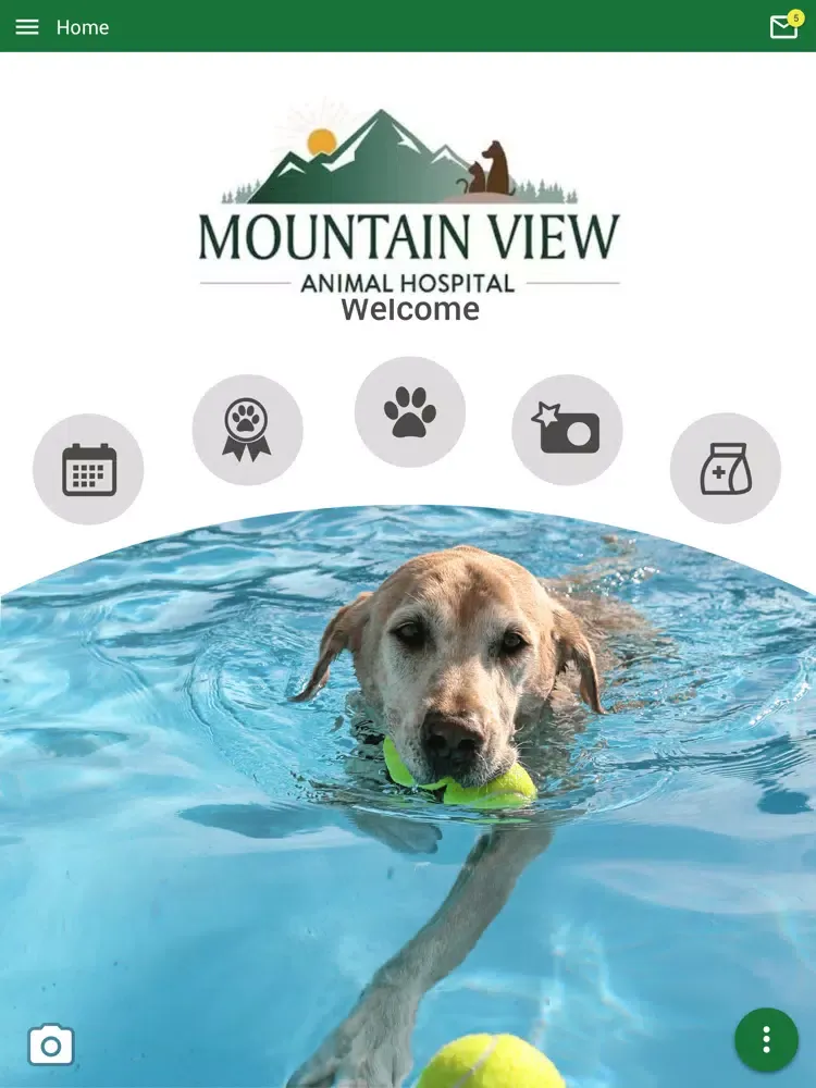 Mountain View Animal Hospital iPad 应用截图