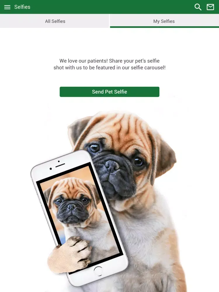 Mountain View Animal Hospital iPad 应用截图
