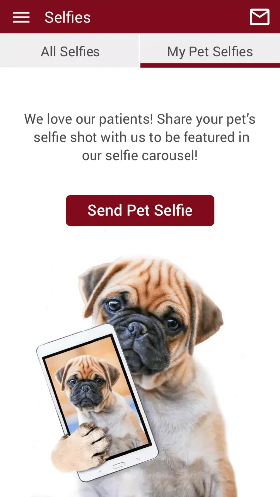 Noahs Ark Pet Hospital سکرین شاٹس