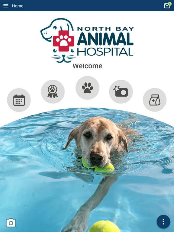 NBAH Tampa Bay iPad  স্ক্রিনশট