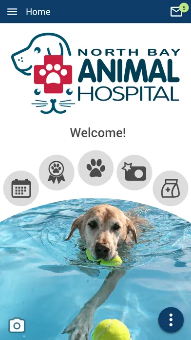 NBAH Tampa Bay স্ক্রিনশট