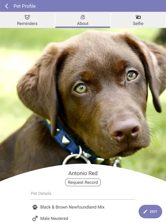 North Kingstown Animal Hosp iPad 应用截图