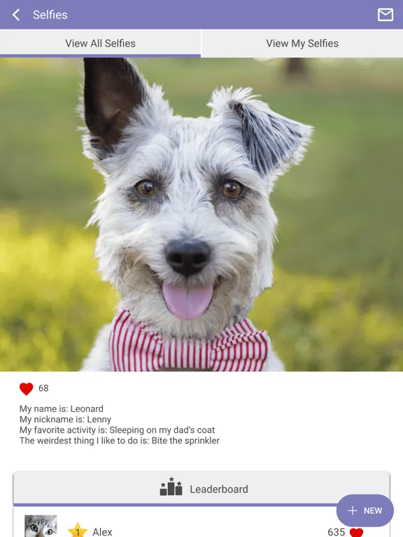 North Kingstown Animal Hosp iPad 应用截图