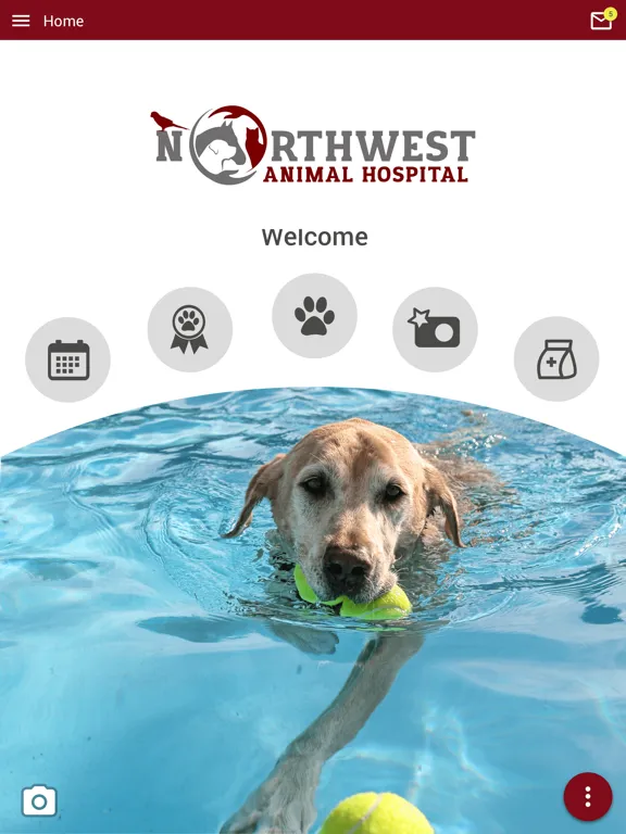 Zrzuty ekranu Northwest Animal Hospital iPad 