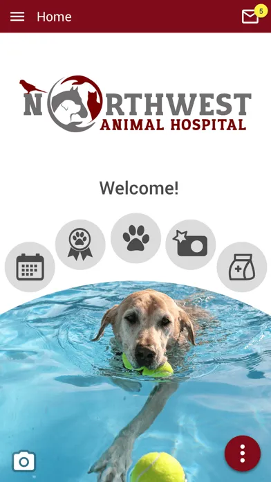 Zrzuty ekranu Northwest Animal Hospital