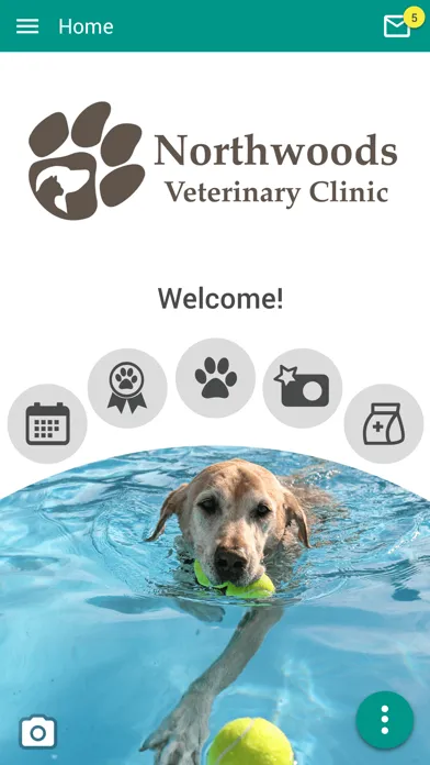Northwoods Vet Screenshots