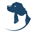 Oak Forest Vet Oak Forest Vet