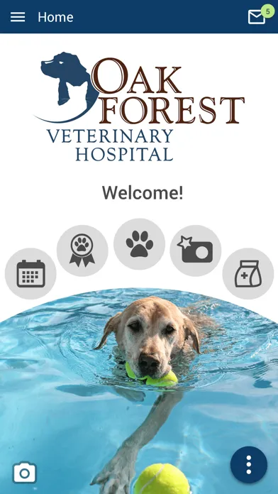 Oak Forest Vet Screenshots