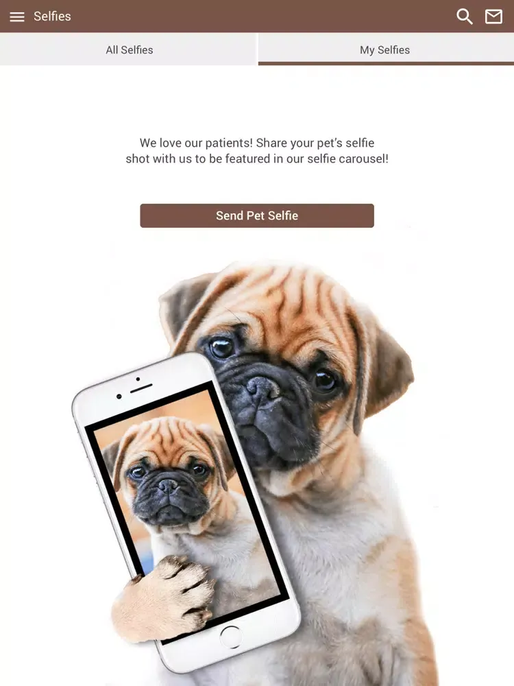 Out West Vet iPad  سکرین شاٹس