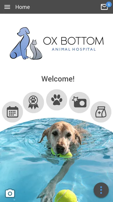 Ox Bottom AH应用截图