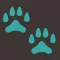 Pawsitive Vet