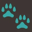 Pawsitive Vet Pawsitive Vet