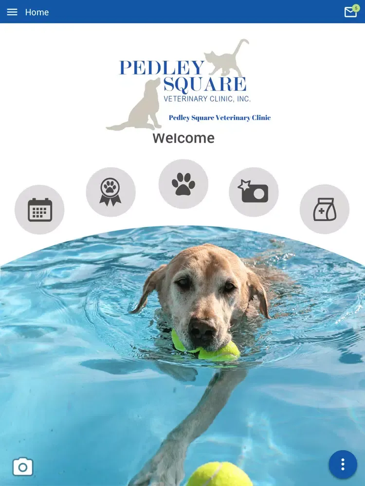 Tangkapan layar Pedley Square Vet iPad 