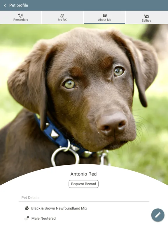 Скриншоты Pend Oreille Vet Service iPad 