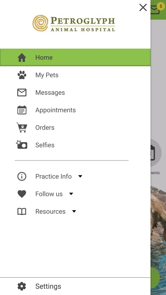 Скриншоты Petroglyph Animal Hospital