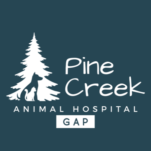 Pine Creek AH Gap