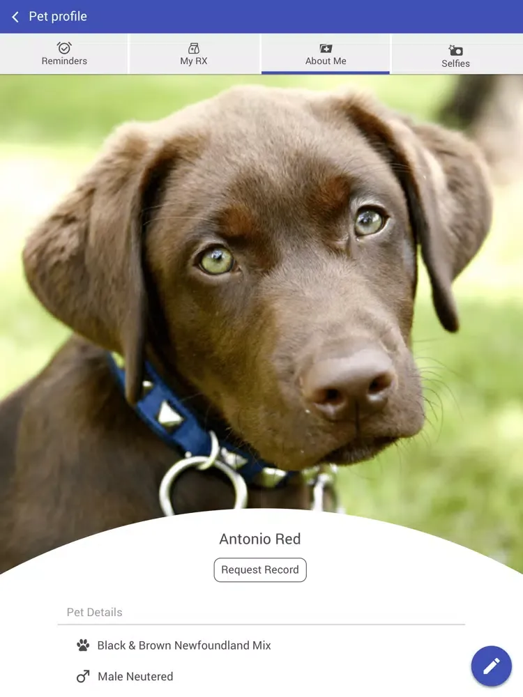 Pinnacle Home Vet Services iPad 应用截图