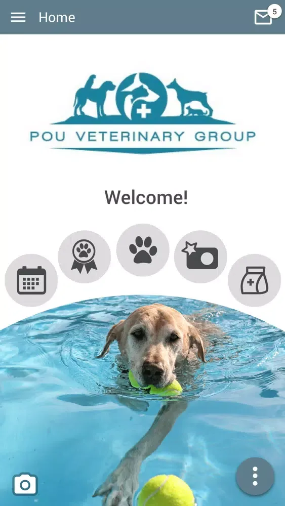 Pou Vet Group Ekran Görüntüleri