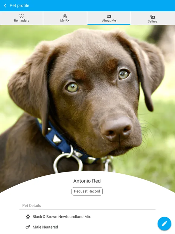 Prima Vista Animal Hospital iPad  Ekran Görüntüleri