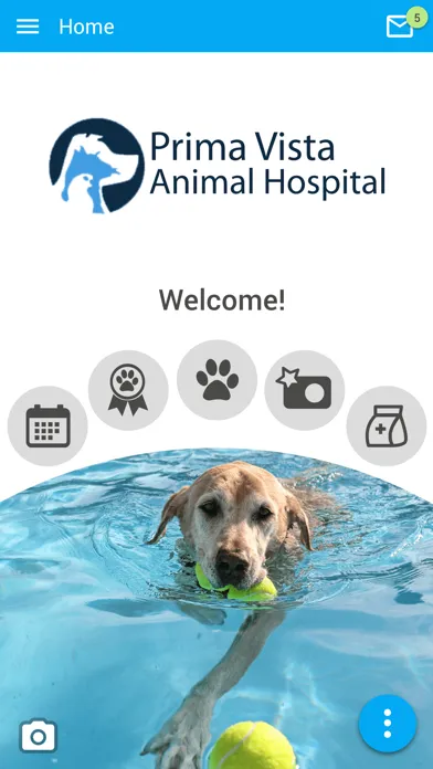 Prima Vista Animal Hospital Ekran Görüntüleri