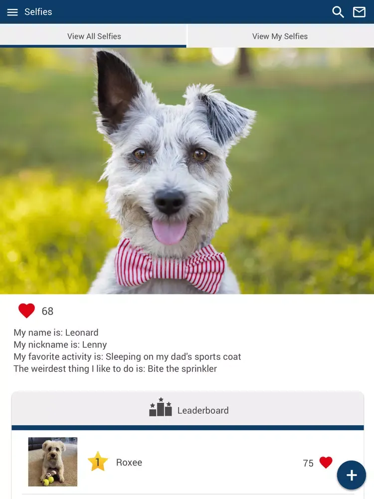 Ảnh chụp màn hình của Rancho West Animal Hospital iPad 