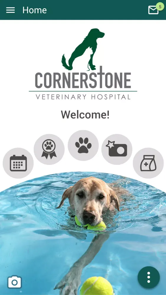 Cornerstone Vet Hospital LA Screenshots