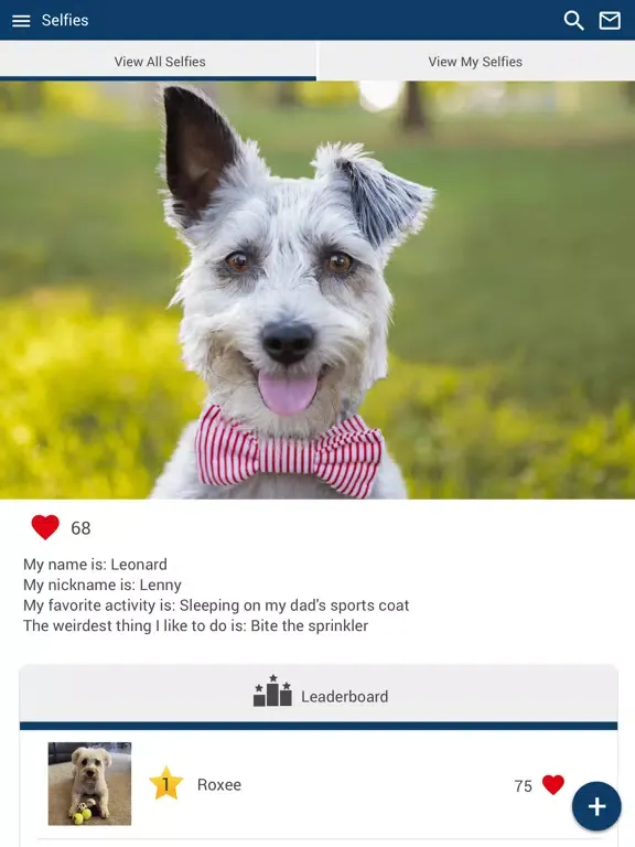 ภาพหน้าจอของ Richey Animal Clinic iPad 