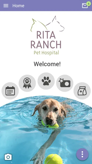Rita Ranch Pets Screenshots