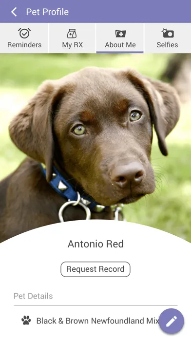 Rita Ranch Pets Screenshots