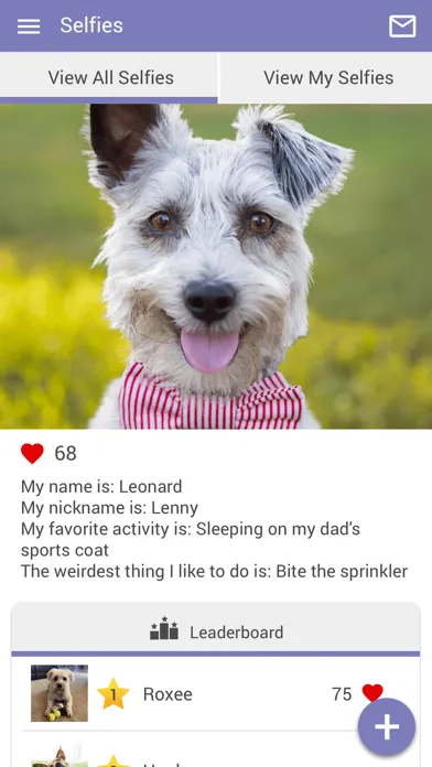 Rita Ranch Pets Screenshots
