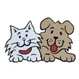 Robinson Vet App